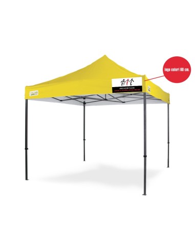 Personalizzazione Gazebo LOGO Colori cm. 60