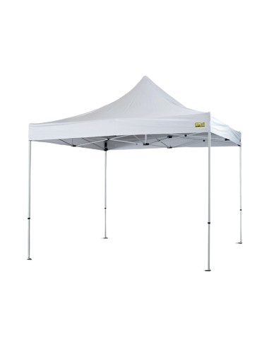 Gazebo in PVC 2x2 Bertoni Market Plus