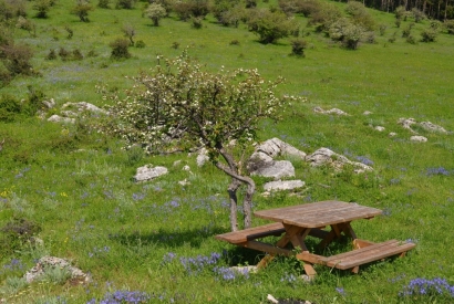 Tavoli campeggio: 4 consigli per gli acquisti